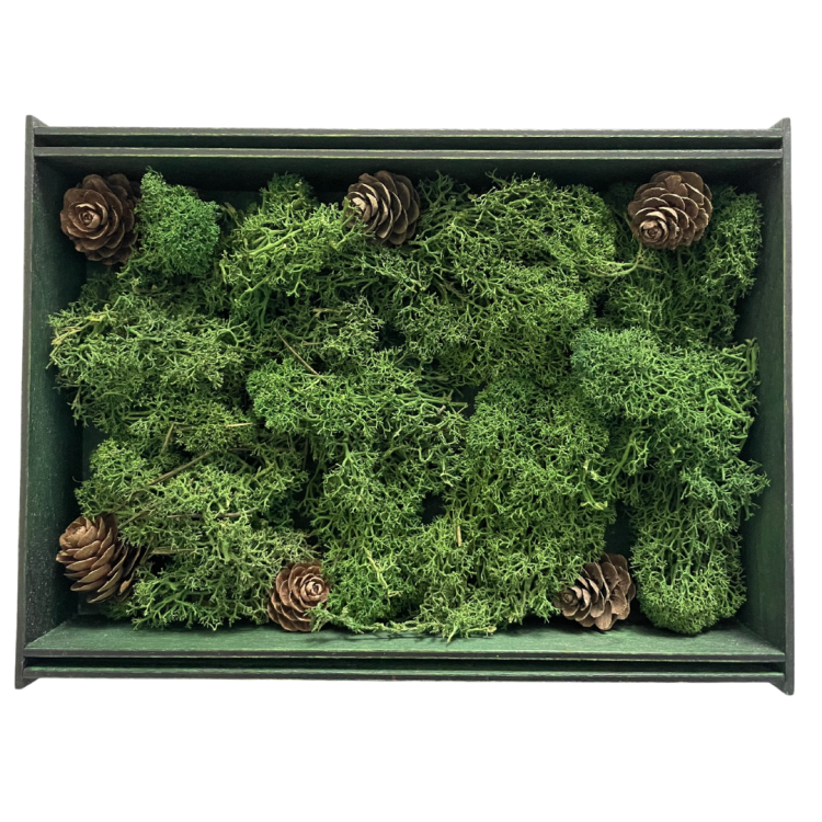 Drewniane pudełko zieleń 1.png