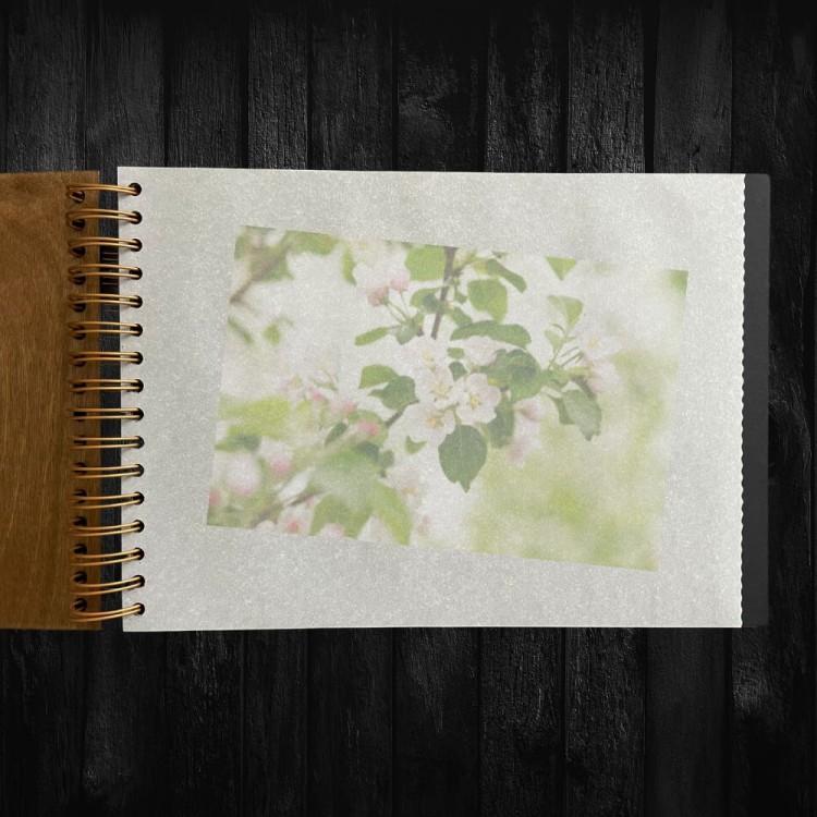 Drewniany album na zdjęcia seria Wehikuł Czasu skleplesnakraina.pl (3).jpg