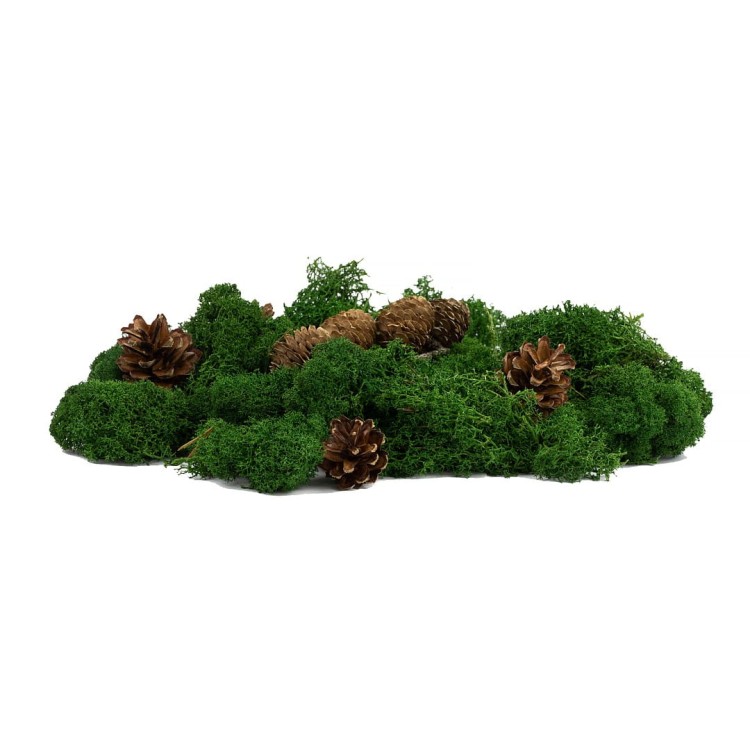 Drewniane_pudelko_na_ pendrive_mech_i_szyszki